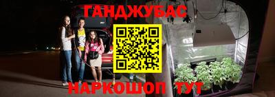 стафф Тара
