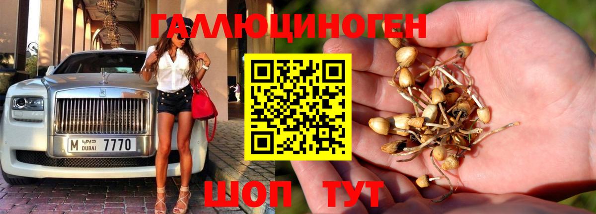 Боровичи  Псилоцибиновые грибы мухоморы  Вход с VPN 