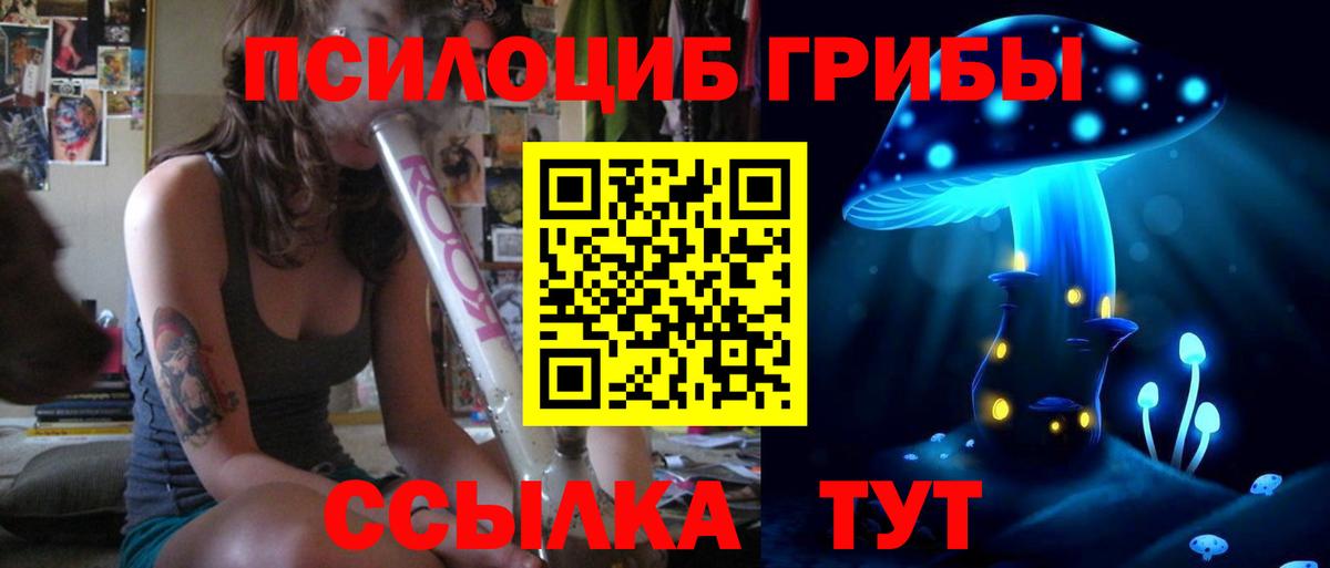 Псилоцибиновые грибы Cubensis Боровичи